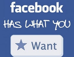 facebook want button