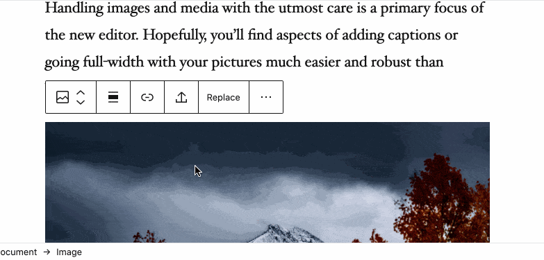 WordPress-5.5_Immagini in linea