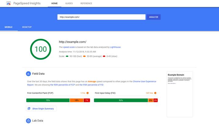 Google PageSpeed Insights_example